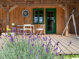 Die aktuelle Stromerzeugung